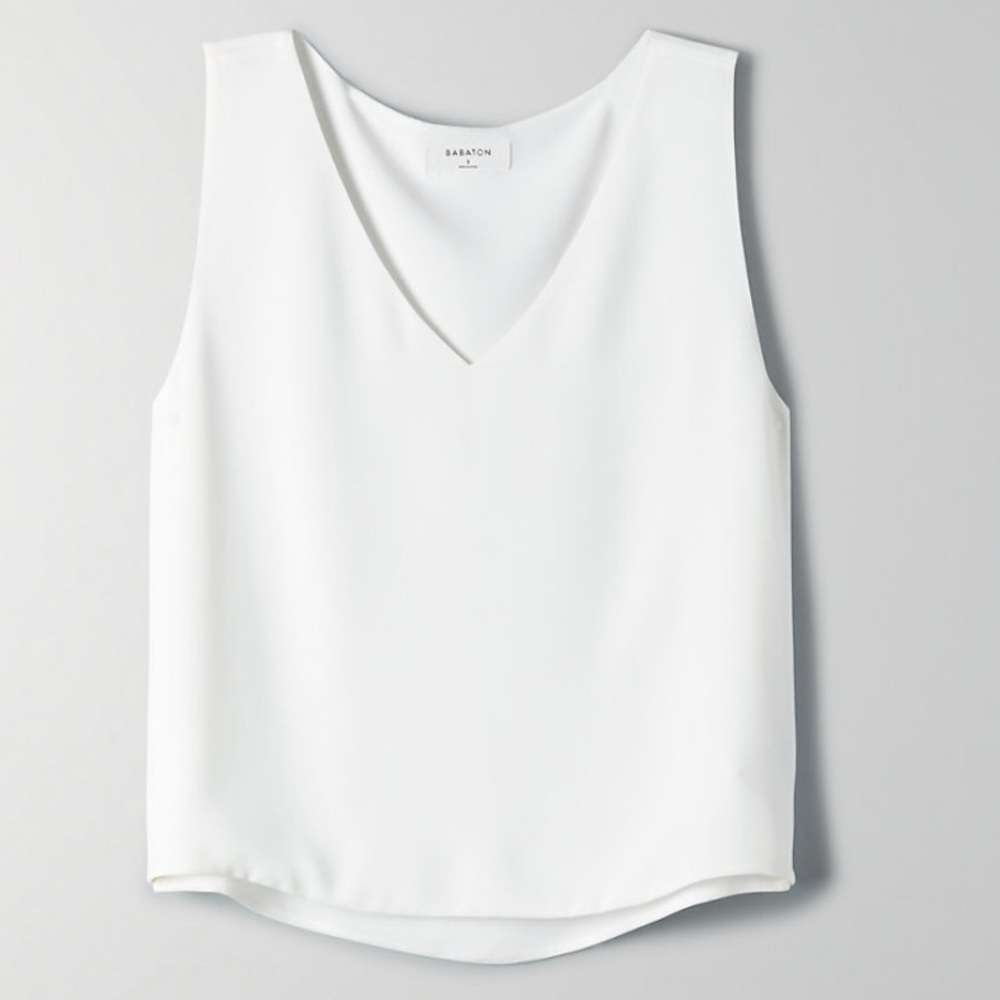 Babaton V-Neck “Murphy Blouse”